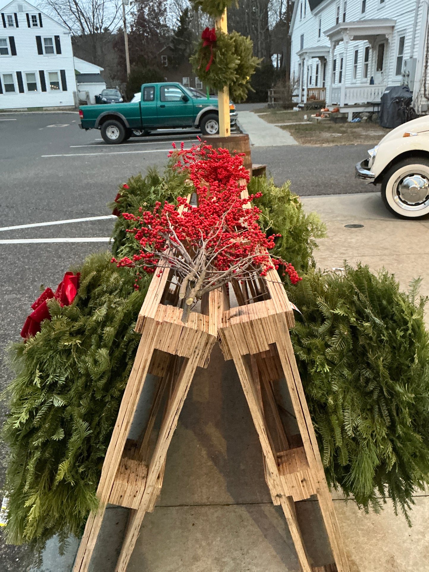 Bundle of Winter berry