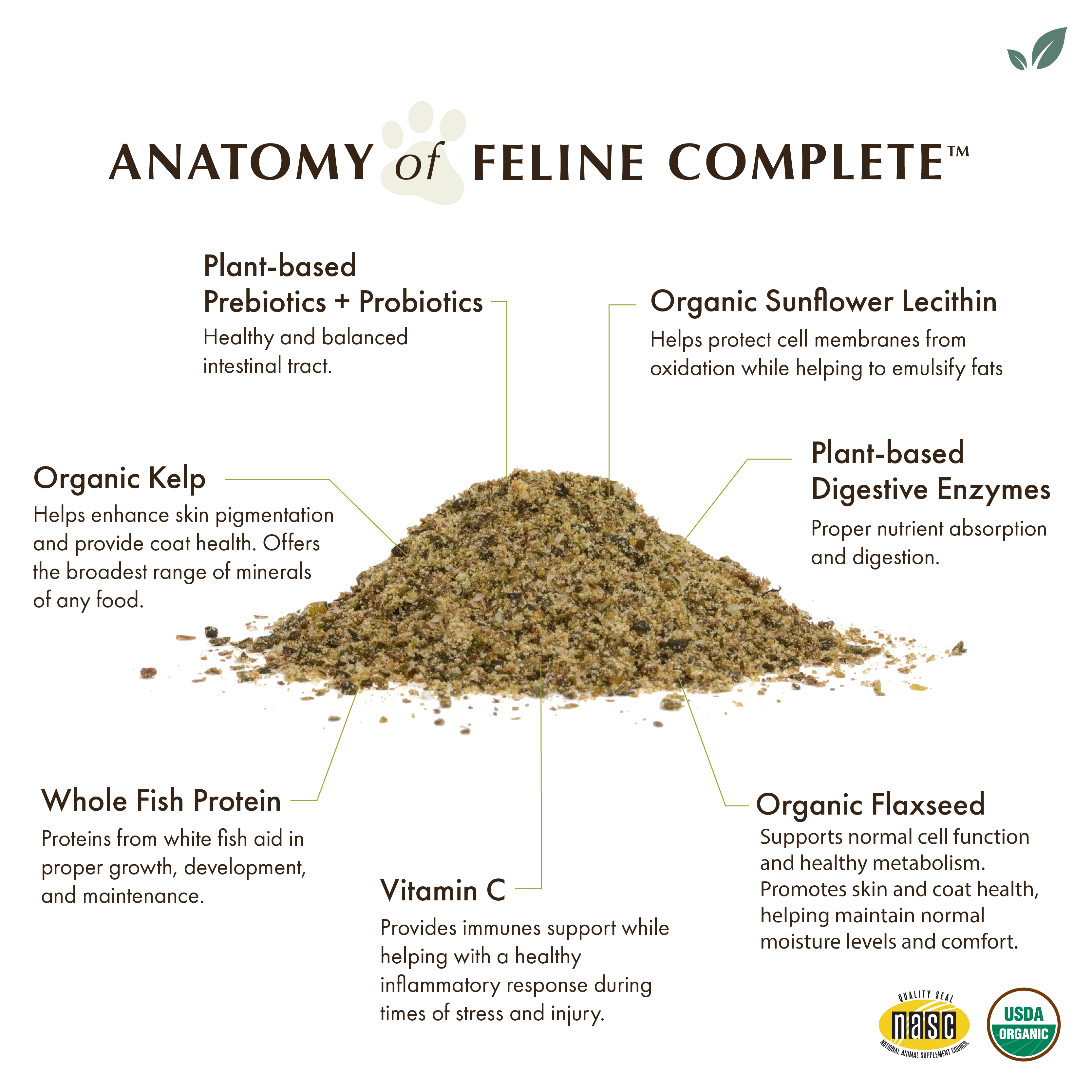Feline Complete™: Organic Pumpkin / 4 oz