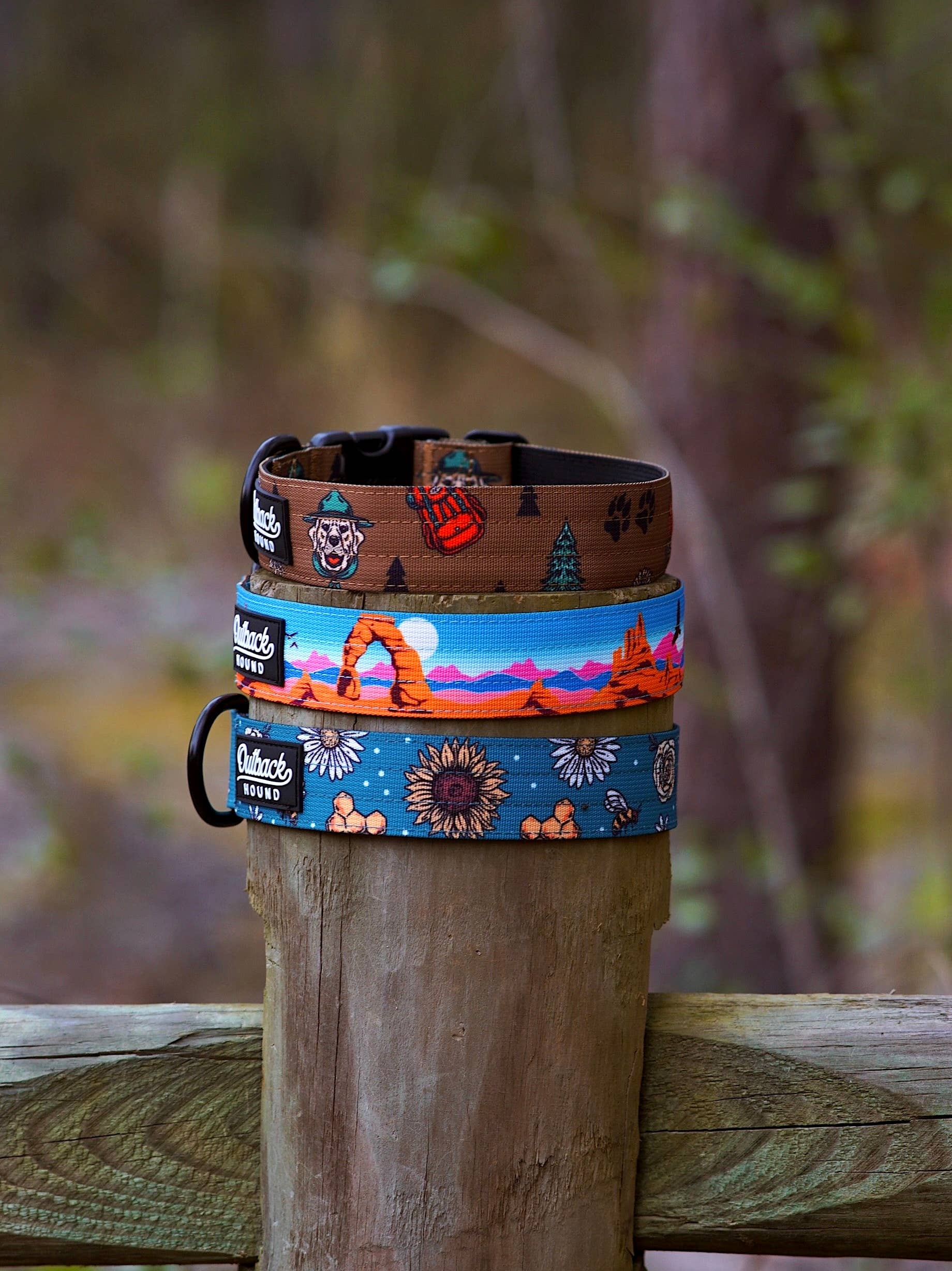 Bees Knees Teal Dog Collar: Large