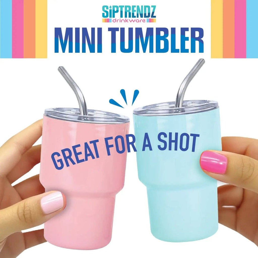 Mini Shot 2oz Stainless Steel Tumblers Boxed - 12/Display: Wholesale Price