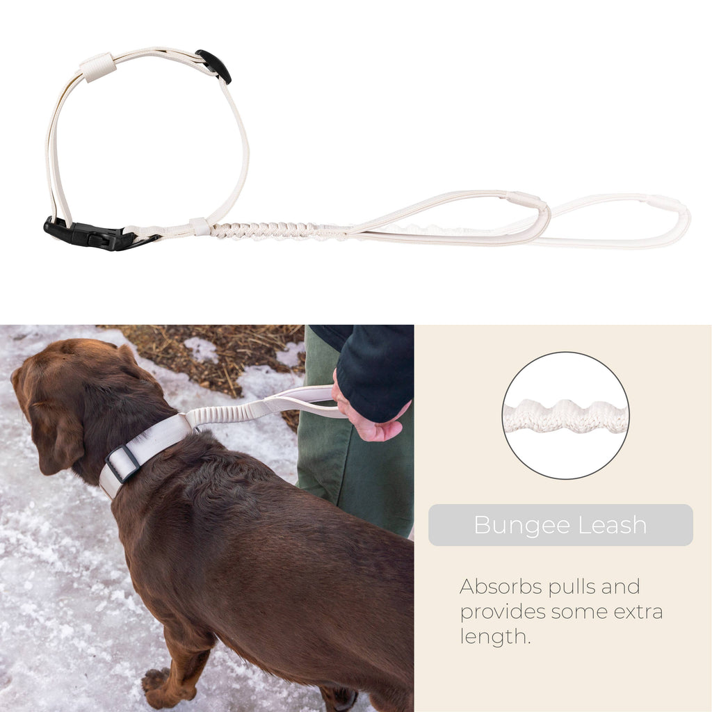 TUG Grab Collar: Cream / Large