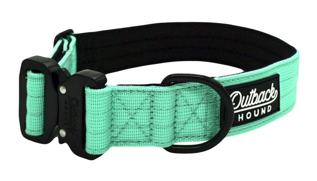 Mint Premium Dog Collar: Extra Large