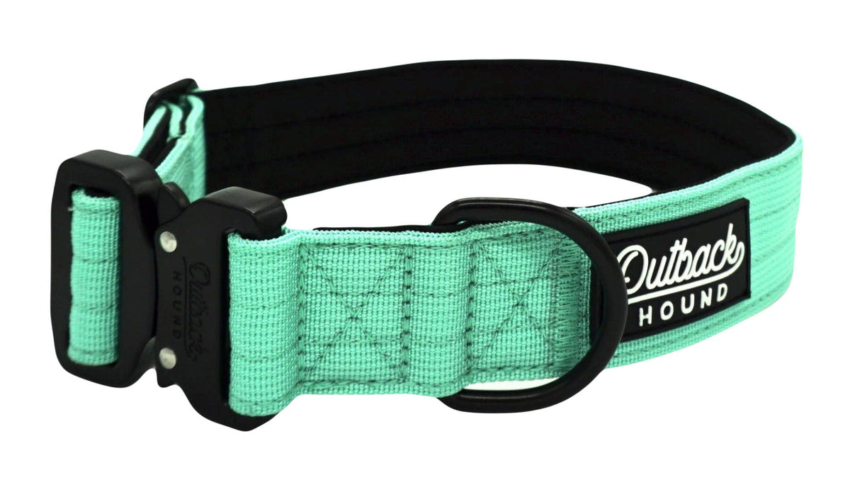Mint Premium Dog Collar: Extra Large