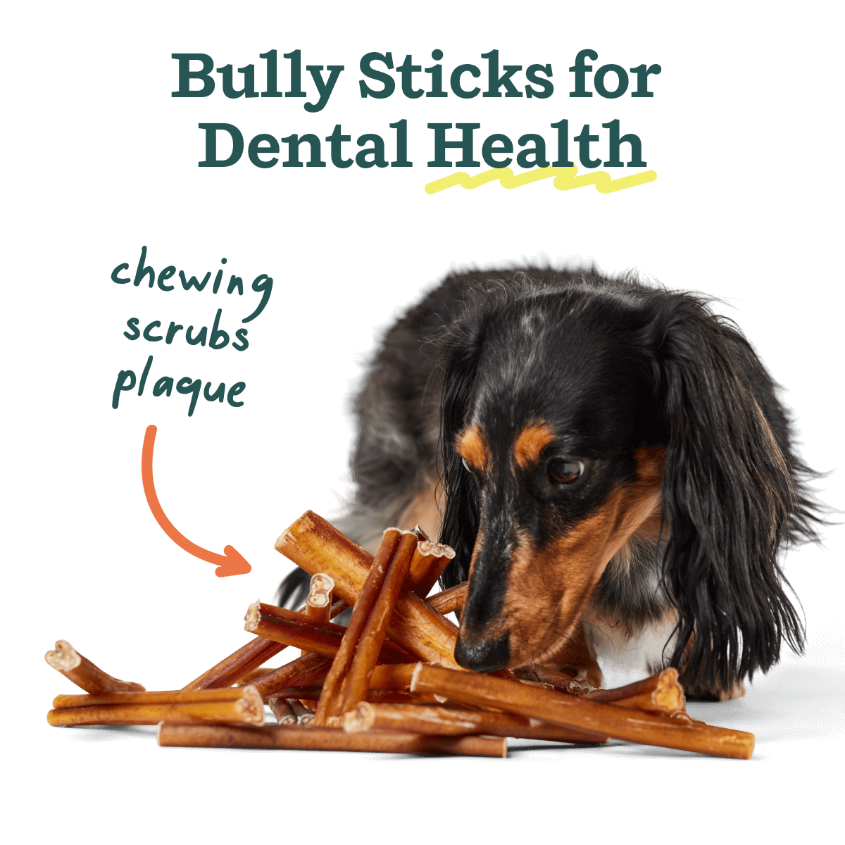 BullySafe Chews - BullySticks: Beef / 12-inch 5 pack