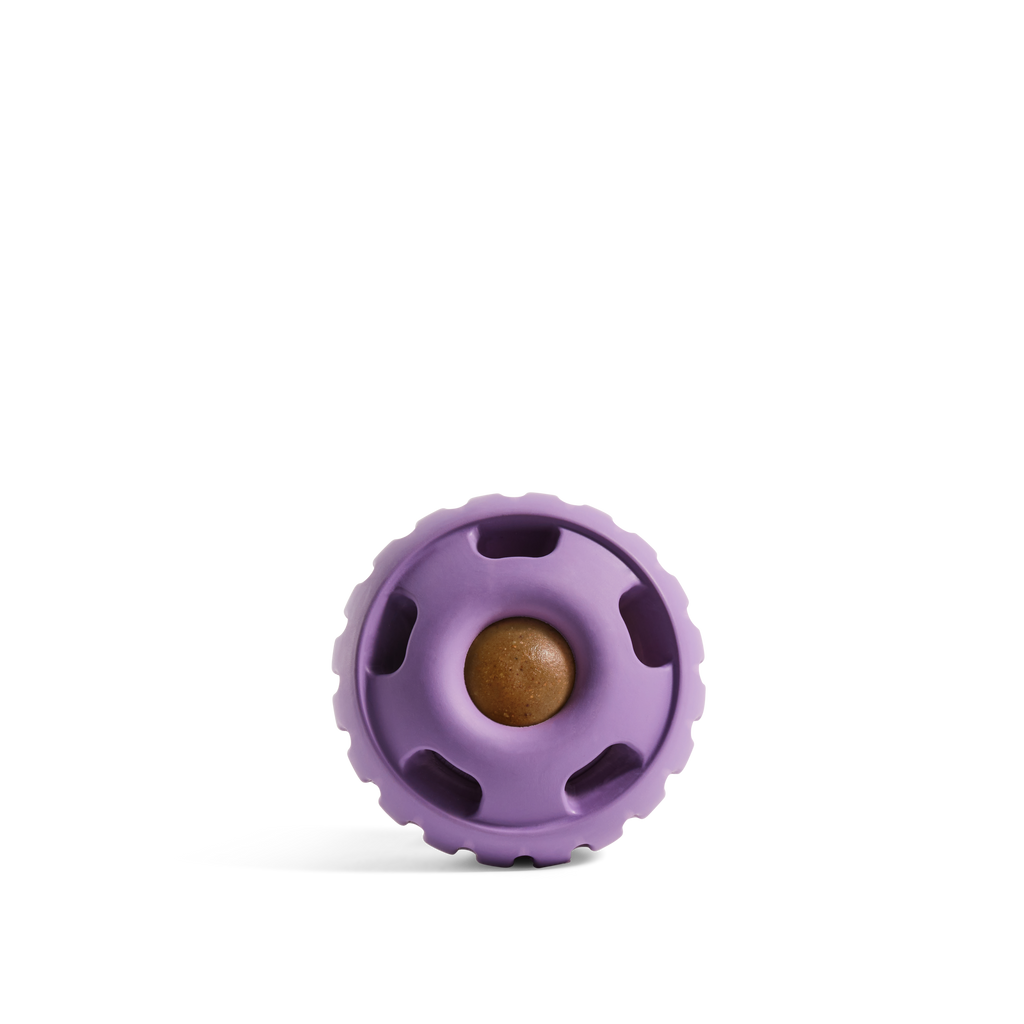 The Pupsicle - Lavender: Small