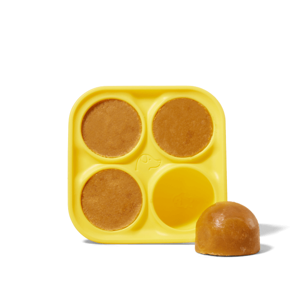 Pupsicle Treat Tray: Small
