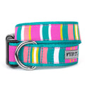 Fiesta Stripe Collar: Teal Multicolored / X Large