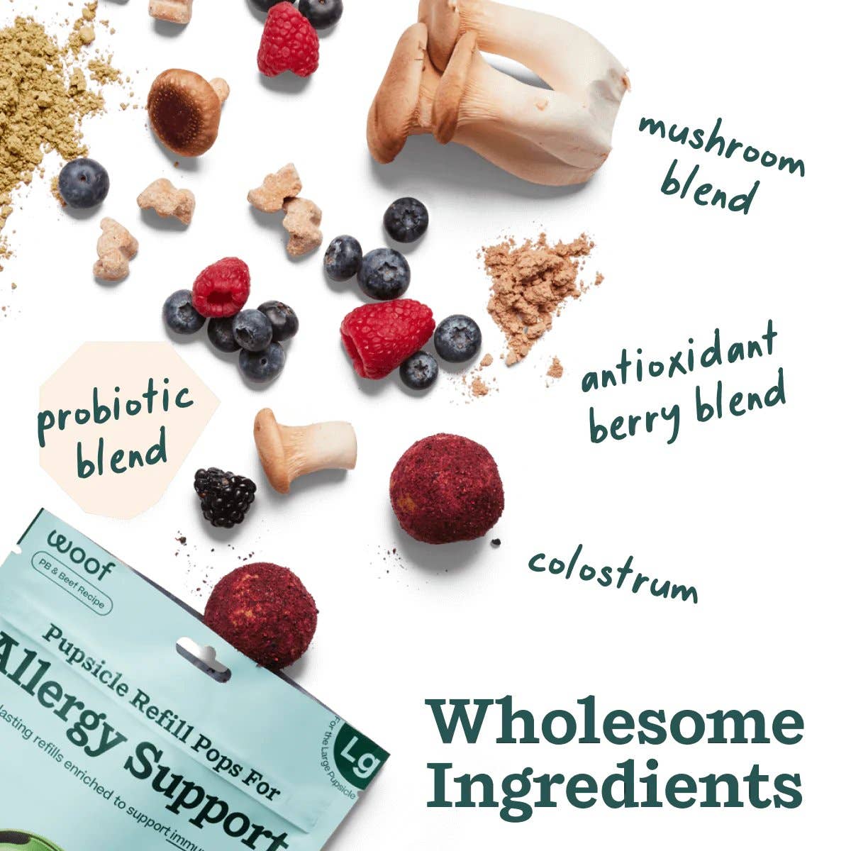 Allergy Support Wellness Pops: Extra Large