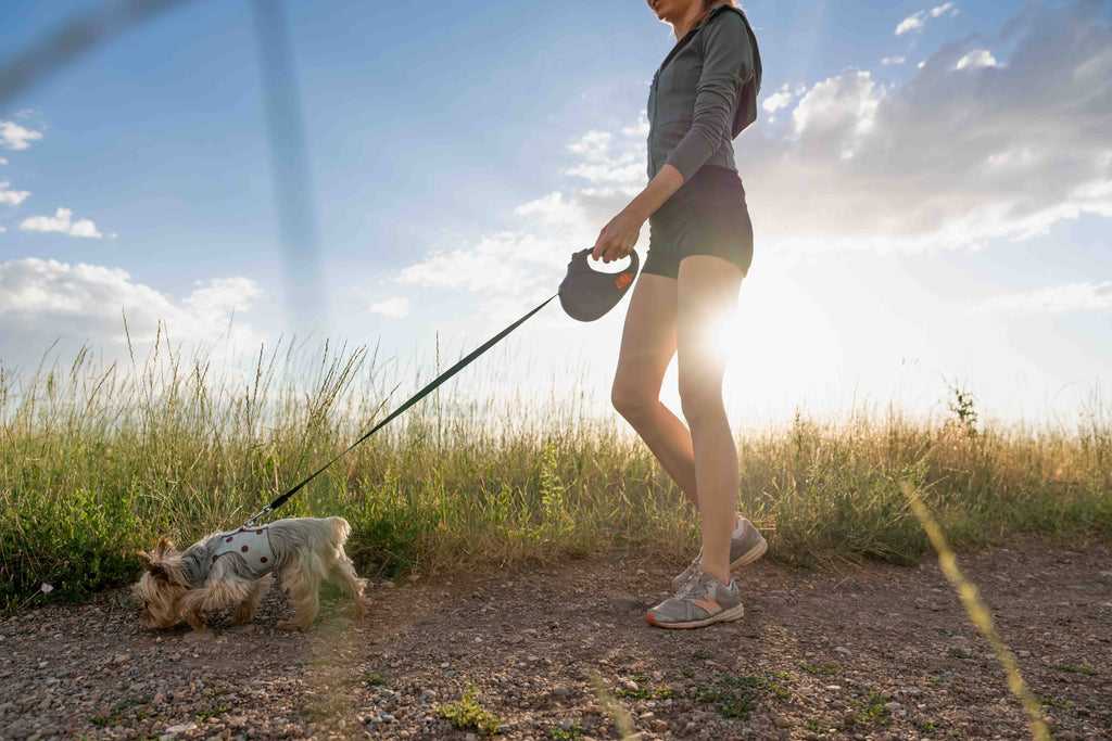 TUG Retractable Dog Leash with Integrated Dispenser: Black / Medium