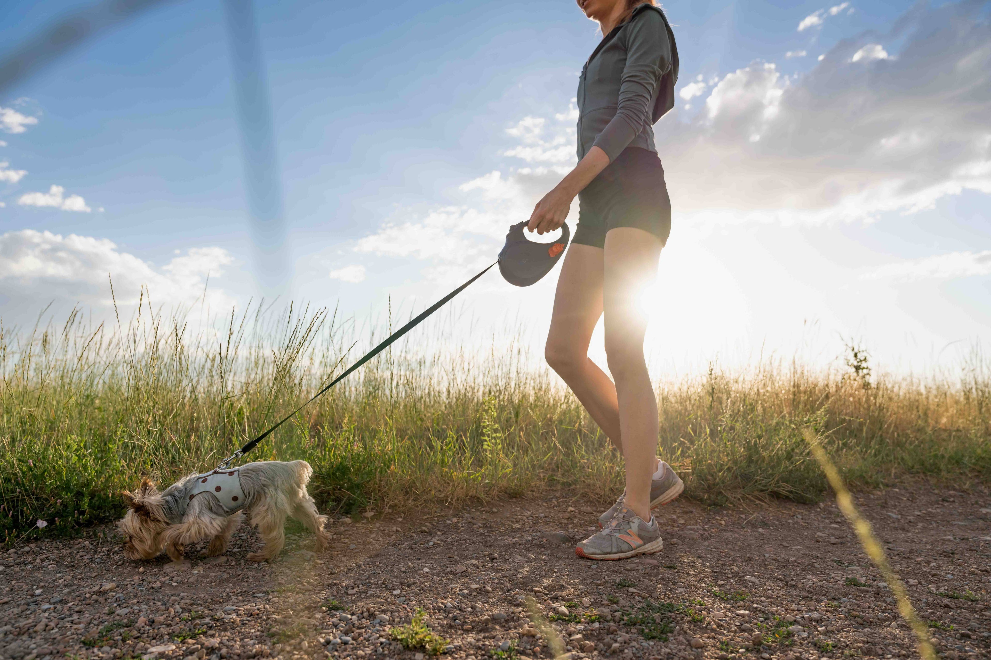 TUG Retractable Dog Leash with Integrated Dispenser: Black / Medium