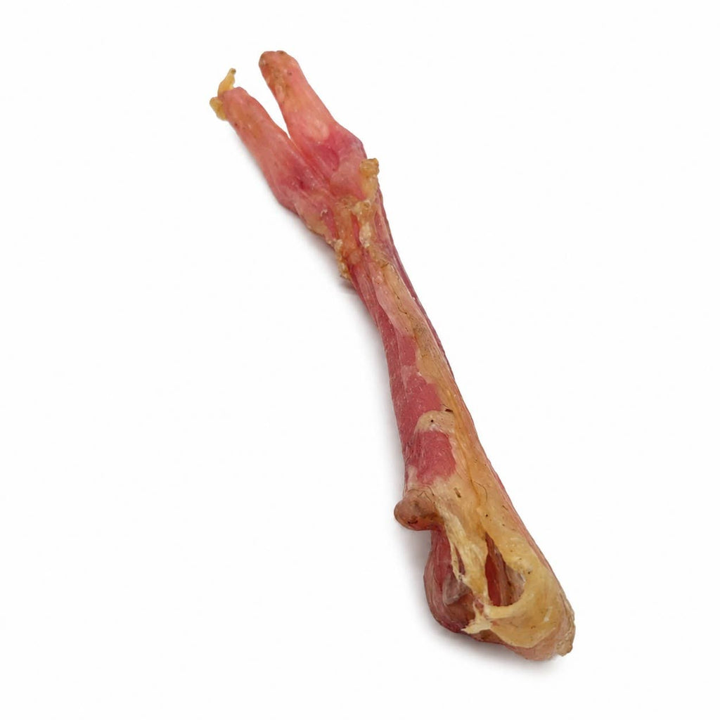 Beef Y Thick Tendon Dog Chews (8–10”) – 15 Pack
