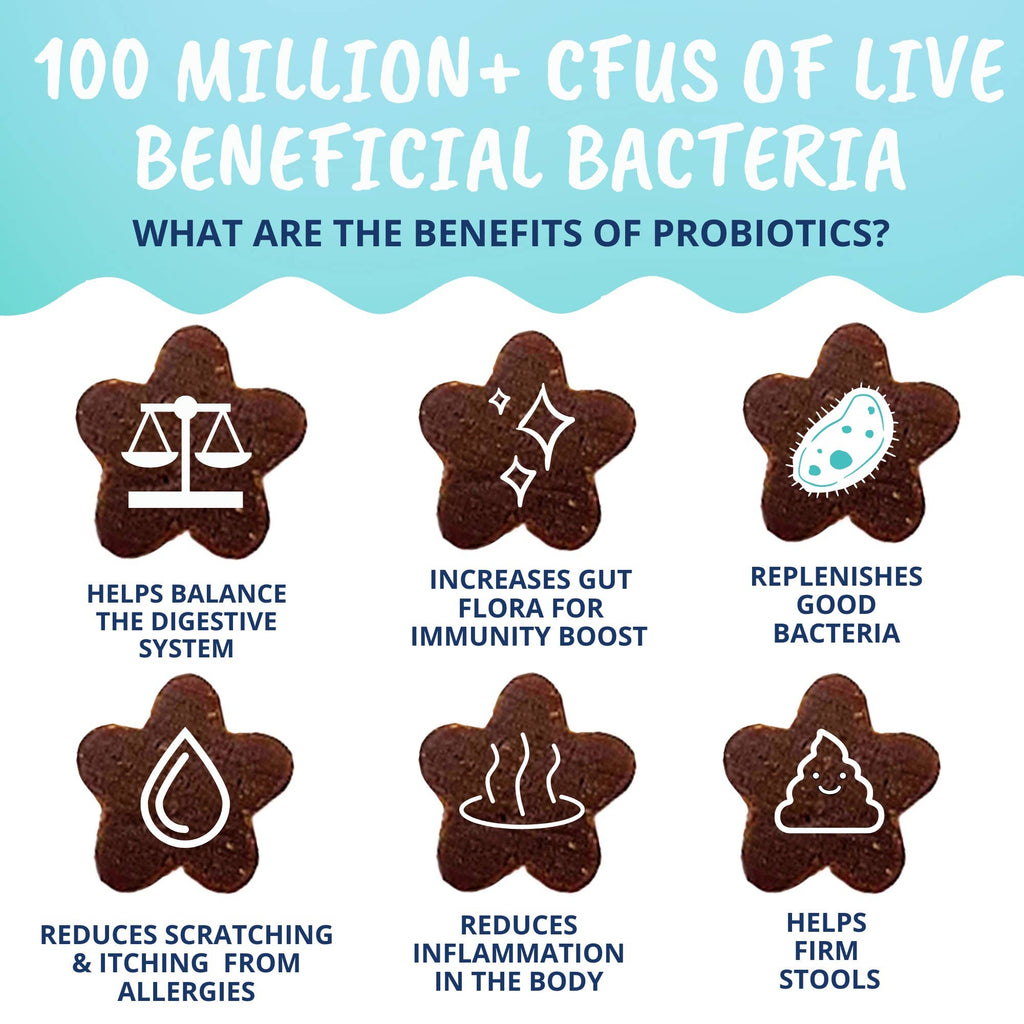 Under the Weather Cat Probiotic Chews 60 ct.