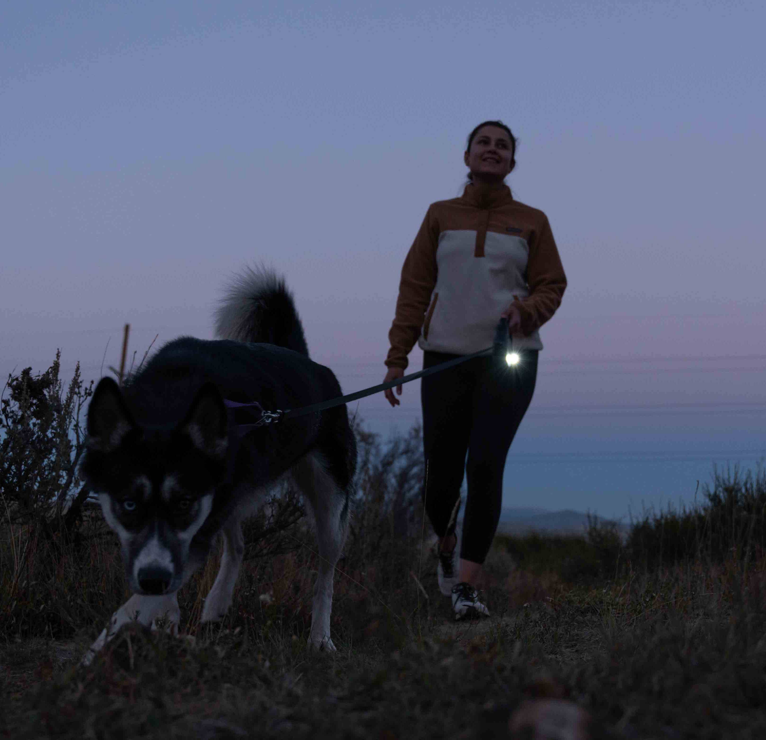 TUG Rechargeable LED Dog Light for Night Walking - Clip-on