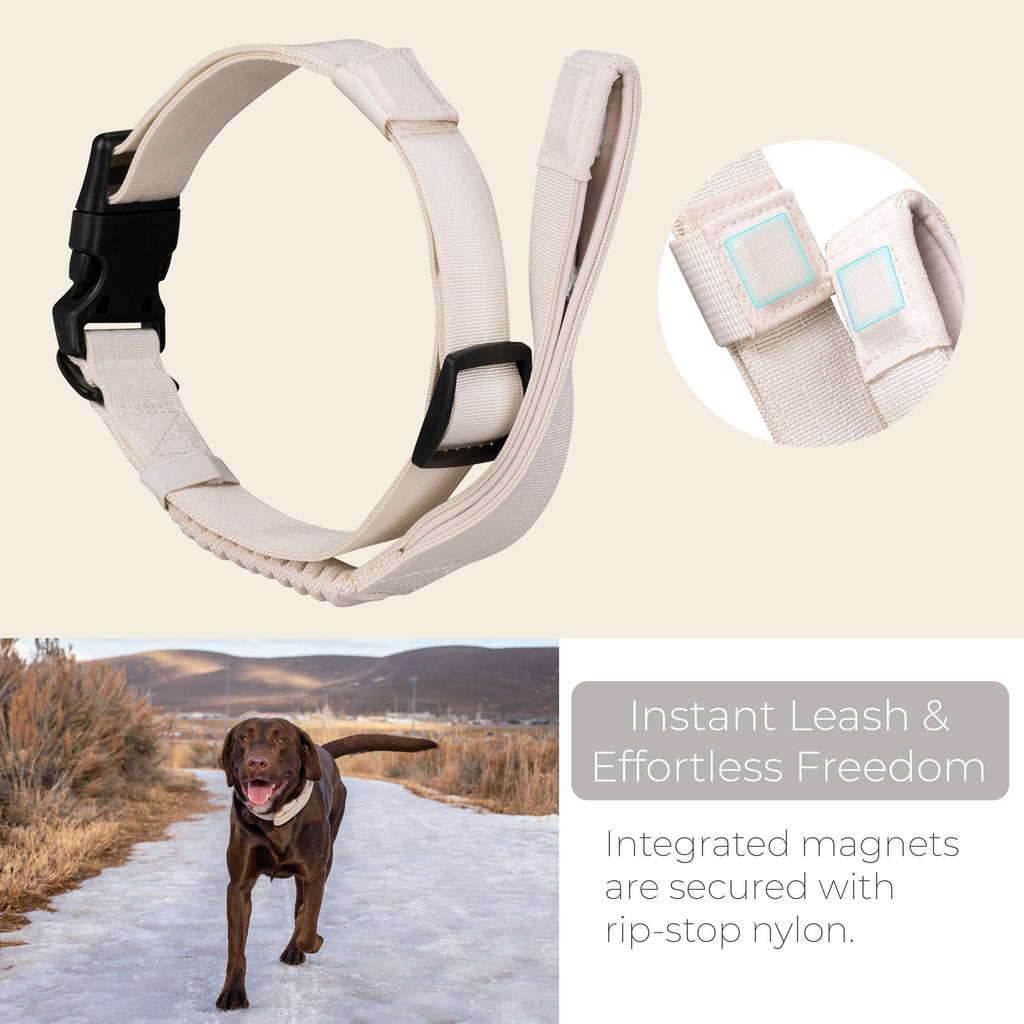 TUG Grab Collar: Cream / Medium