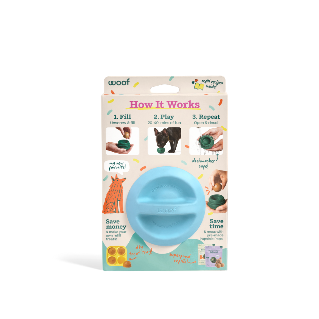 Party Pupsicle: Blue / Large