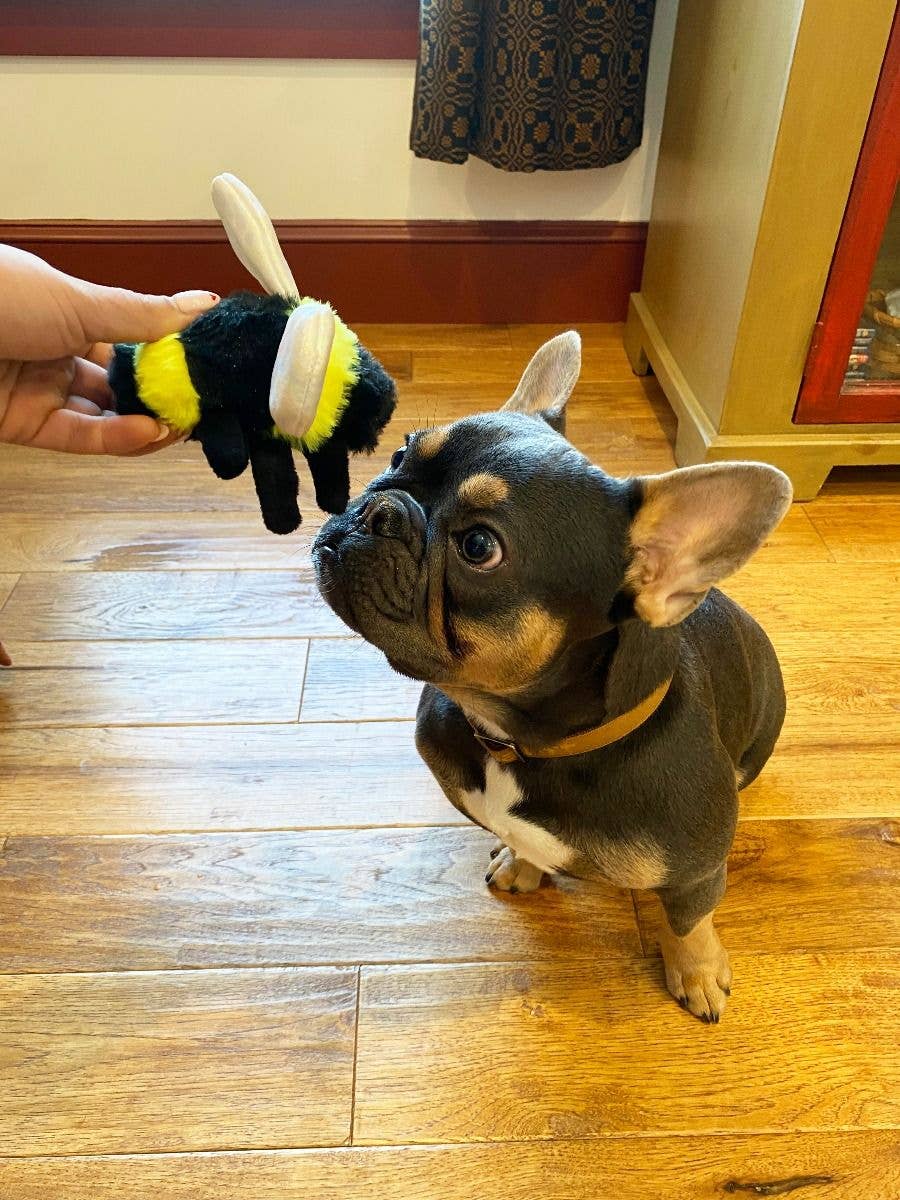 Tall Tails Bee with Squeaker Dog Toy - 5"