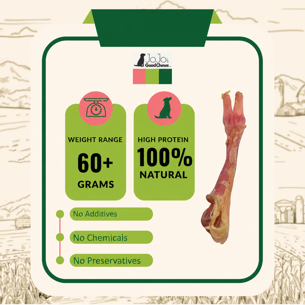 Beef Y Thick Tendon Dog Chews (8–10”) – 15 Pack