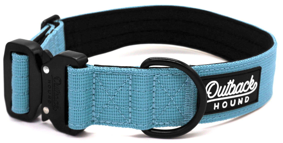 Arctic Blue Premium Dog Collar: Extra Large