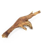 Tuesday's - Chicken Feet