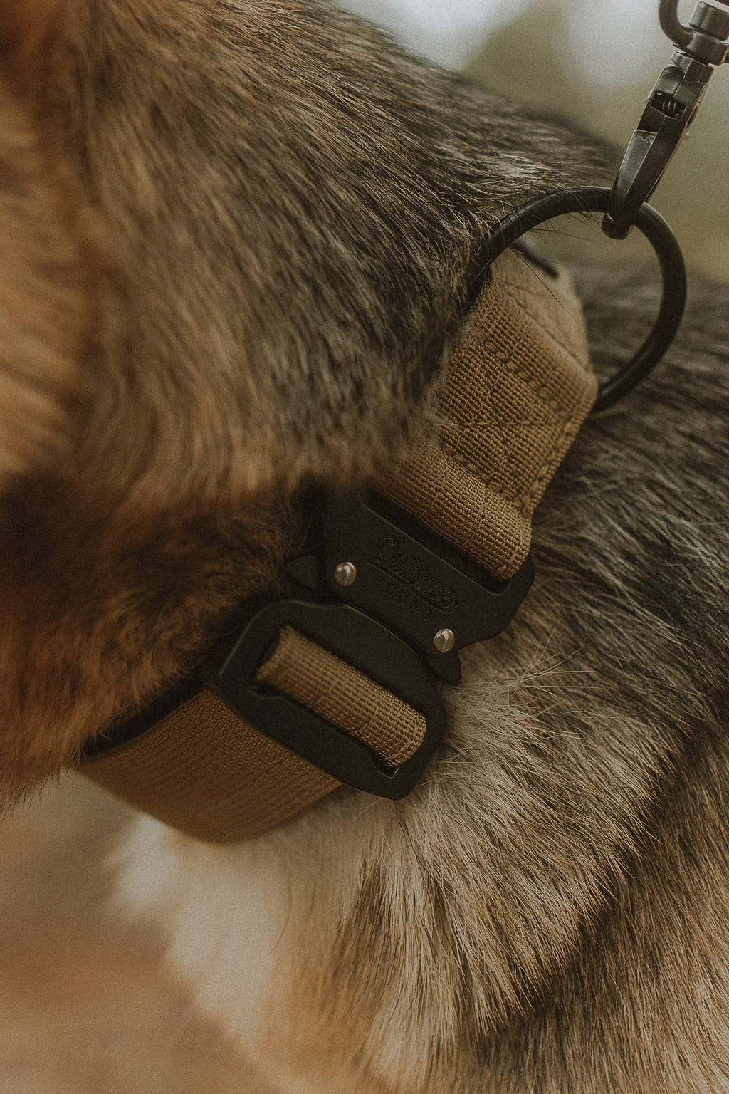 Tan Premium Dog Collar: Medium