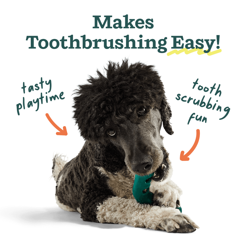 The Bite n' Brush: Small