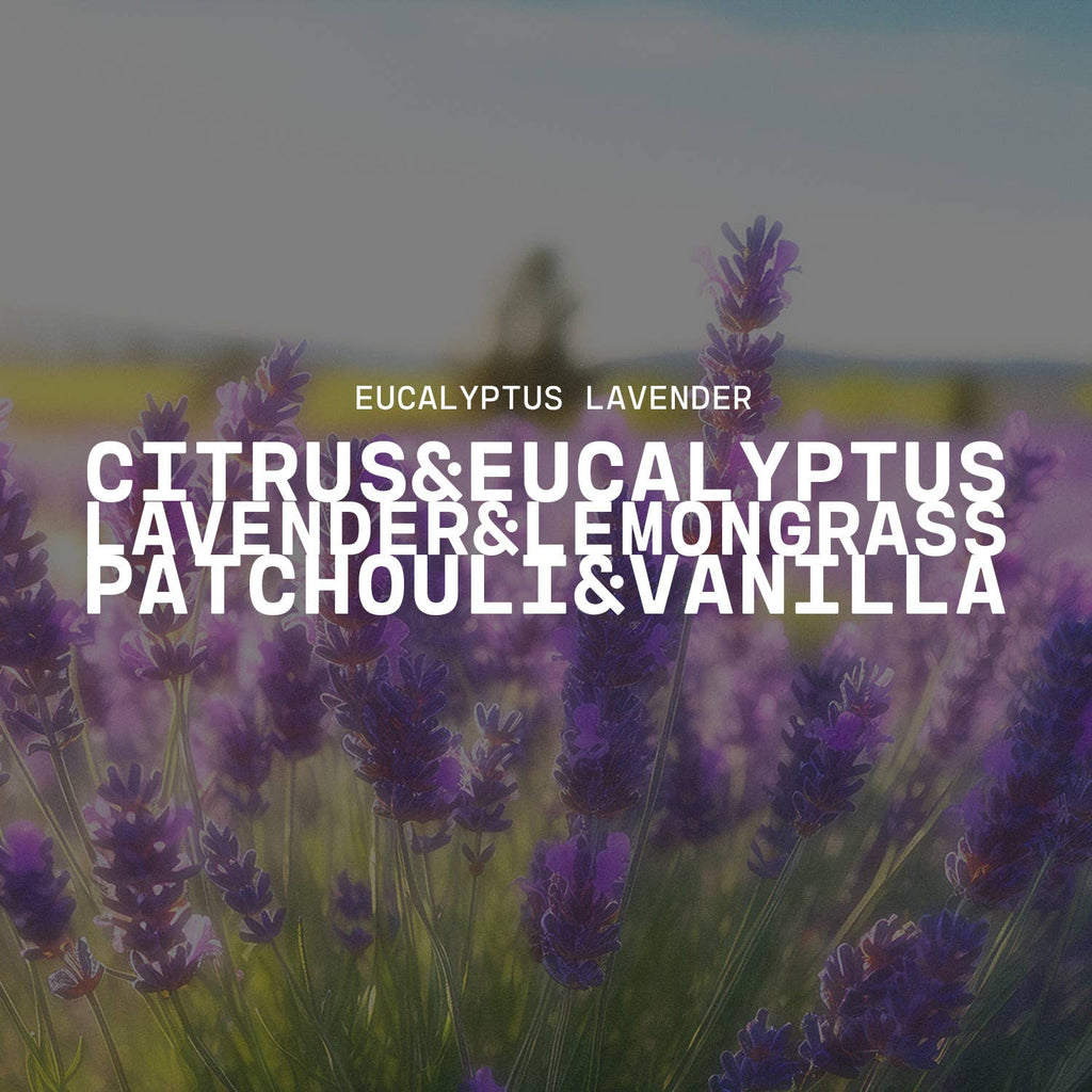 Eucalyptus Lavender | 10 oz Signature Statement Candle