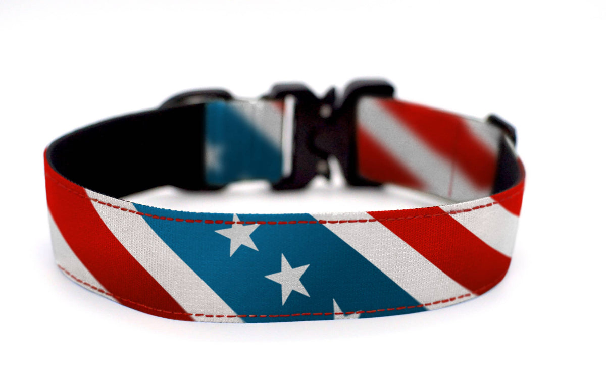The Patriot Dog Collar: Extra Large