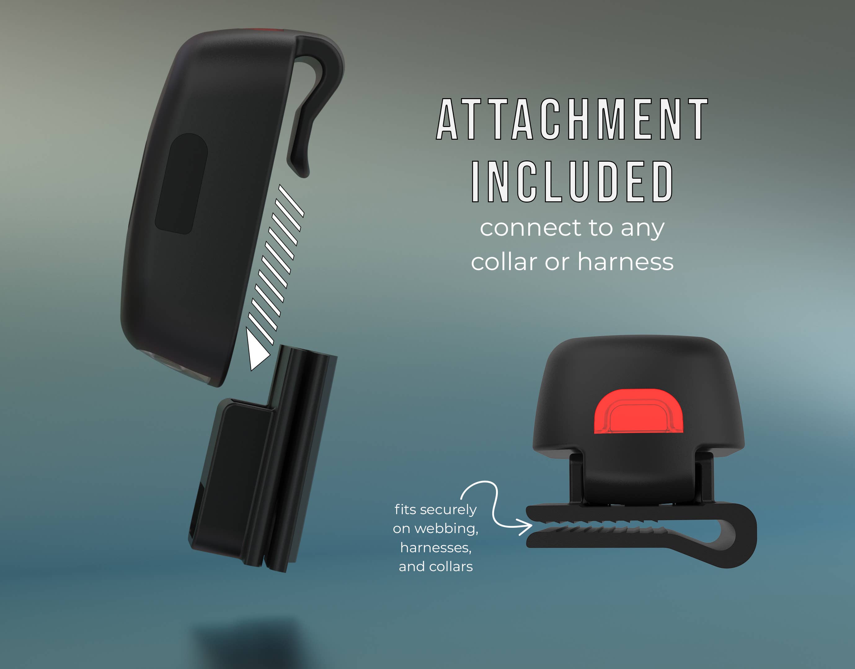 TUG Rechargeable LED Dog Light for Night Walking - Clip-on