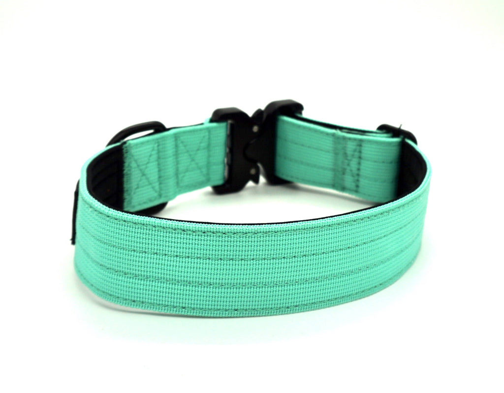 Mint Premium Dog Collar: Extra Large