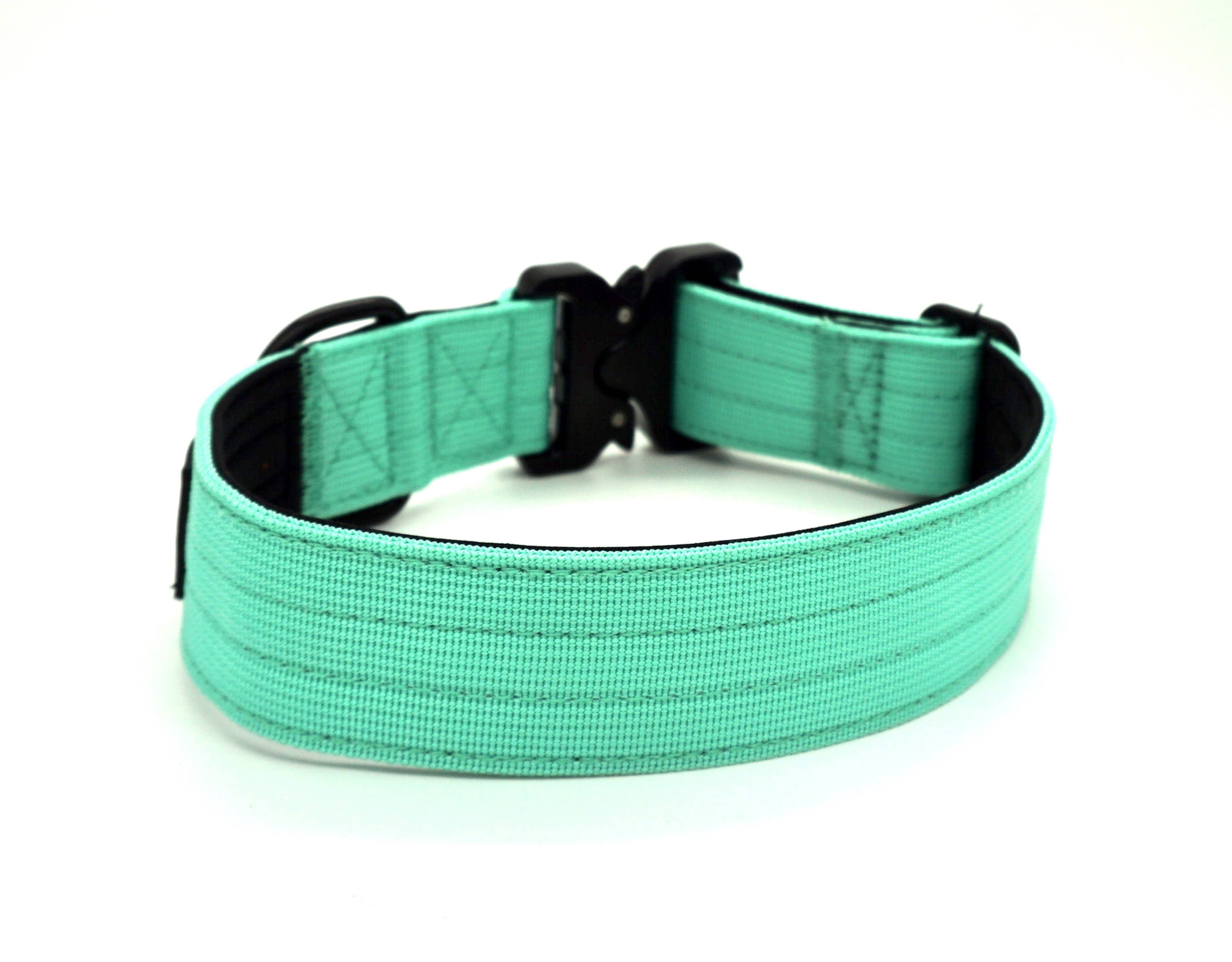 Mint Premium Dog Collar: Extra Large