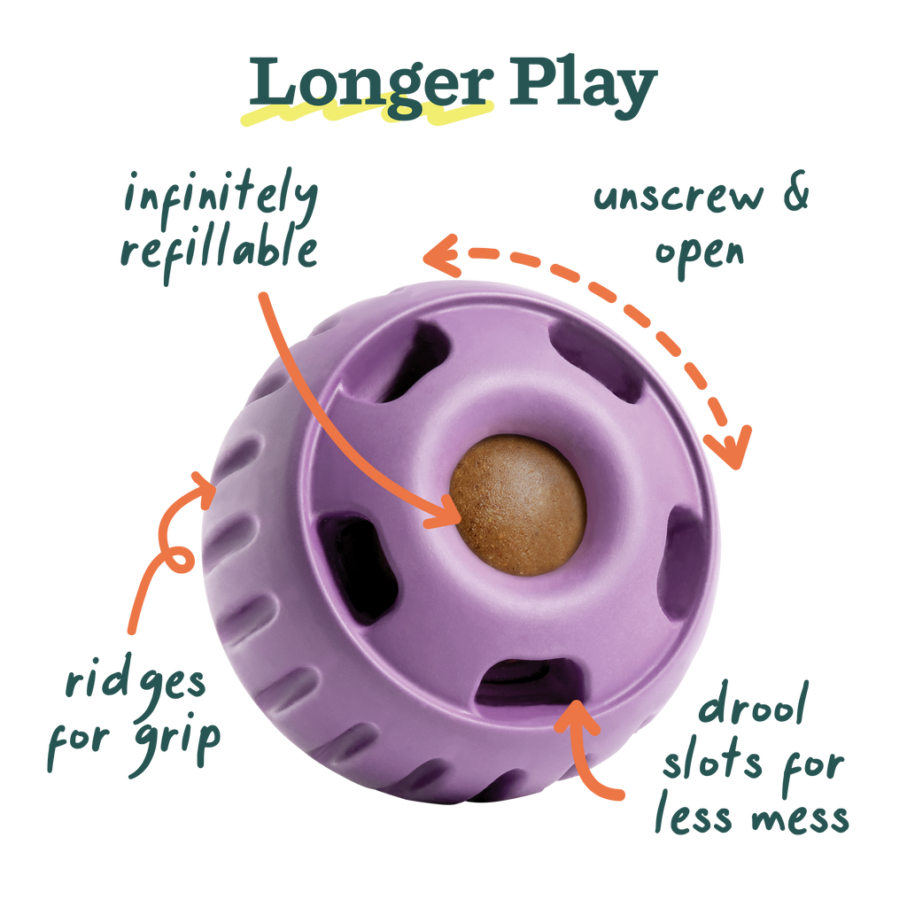 The Pupsicle - Lavender: X-Large