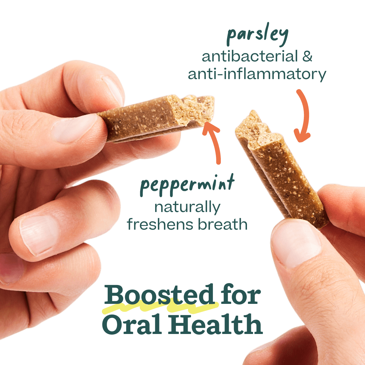 Bite n' Brush Dental Refills Chicken