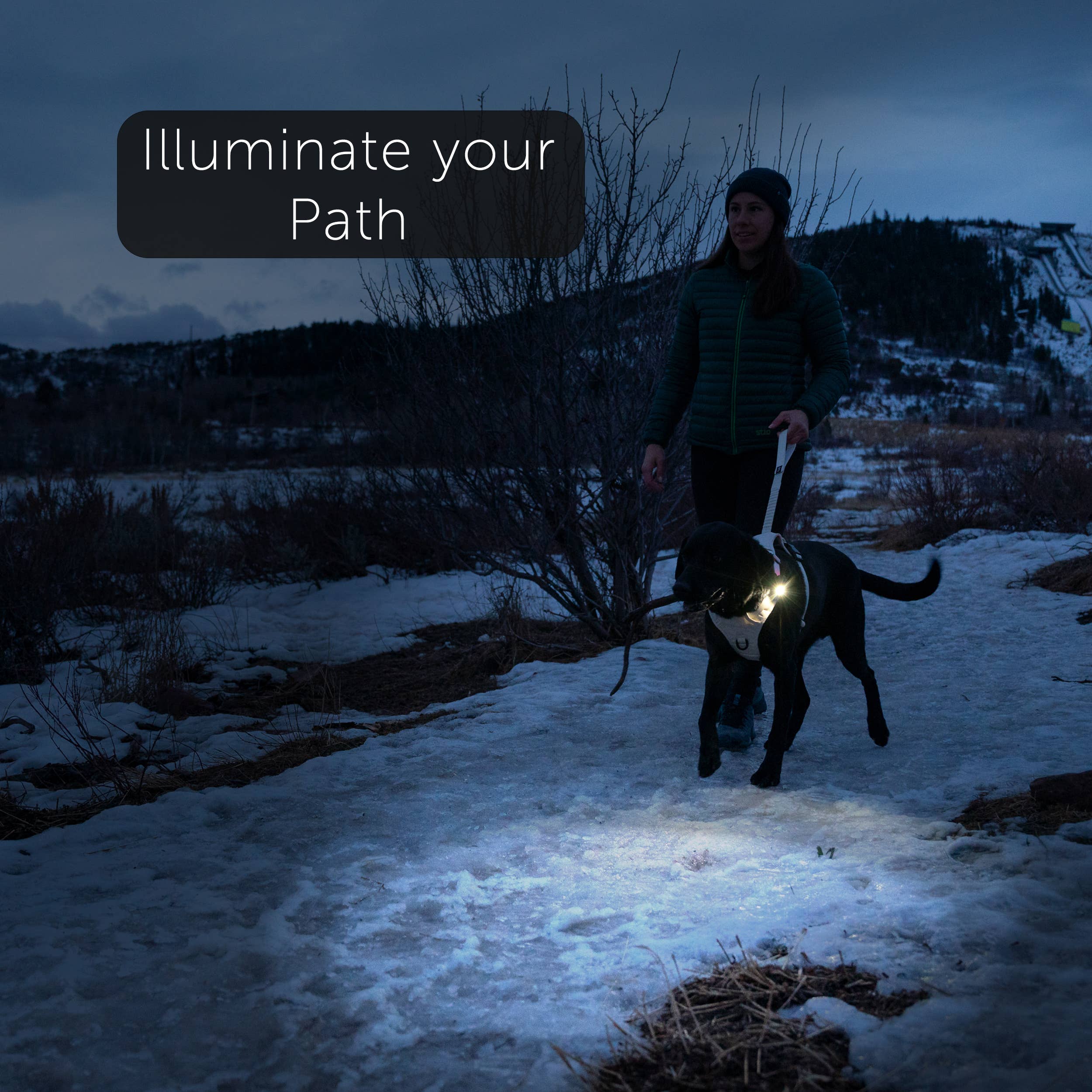 TUG Rechargeable LED Dog Light for Night Walking - Clip-on