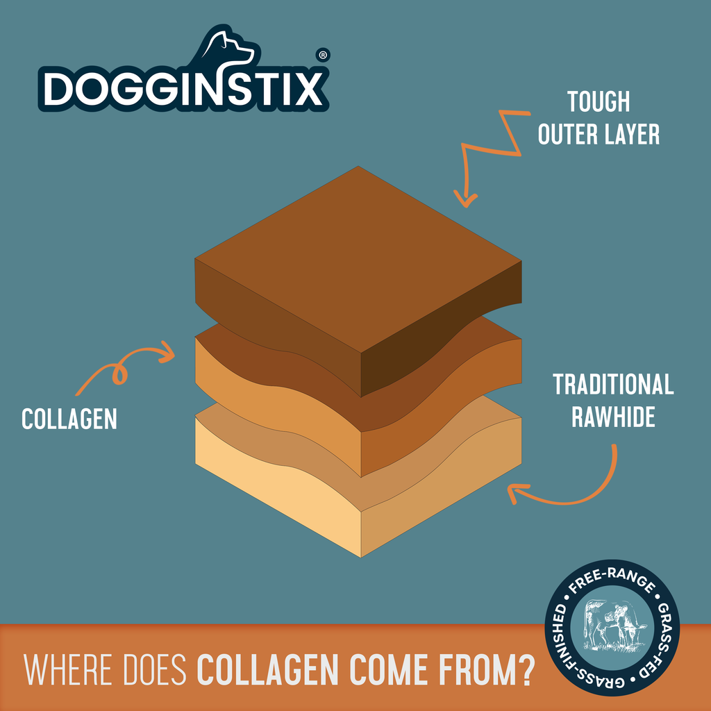 Lamb Collagen - Cosmic Donut - Case of 20: 20