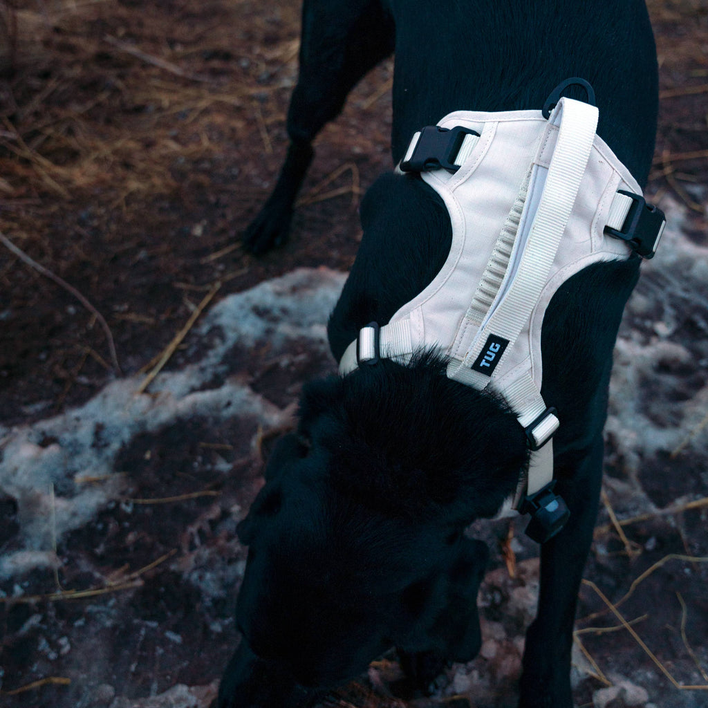 TUG Grab Harness: Black / M