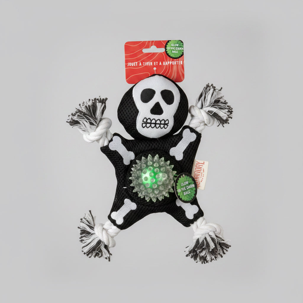 Territory - Halloween Tug and Fetch Toy