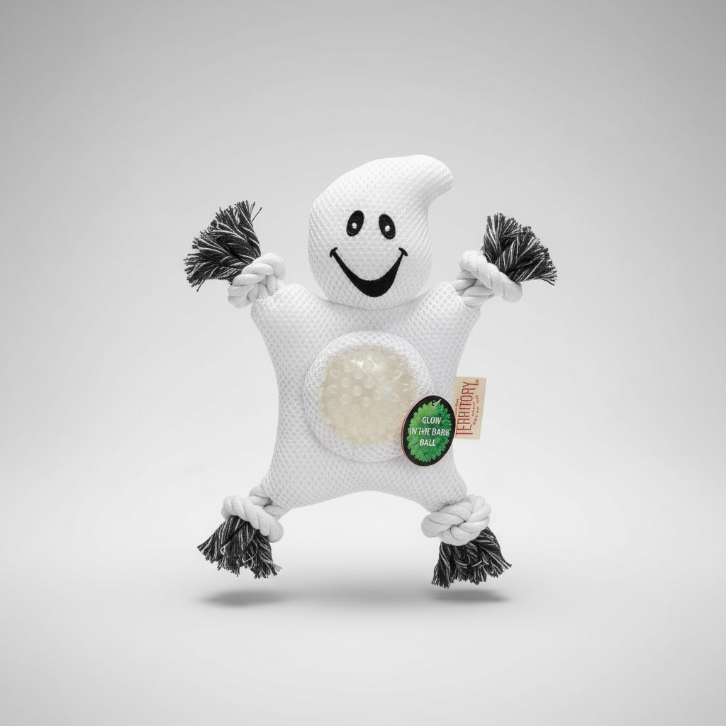 Territory - Halloween Tug and Fetch Toy