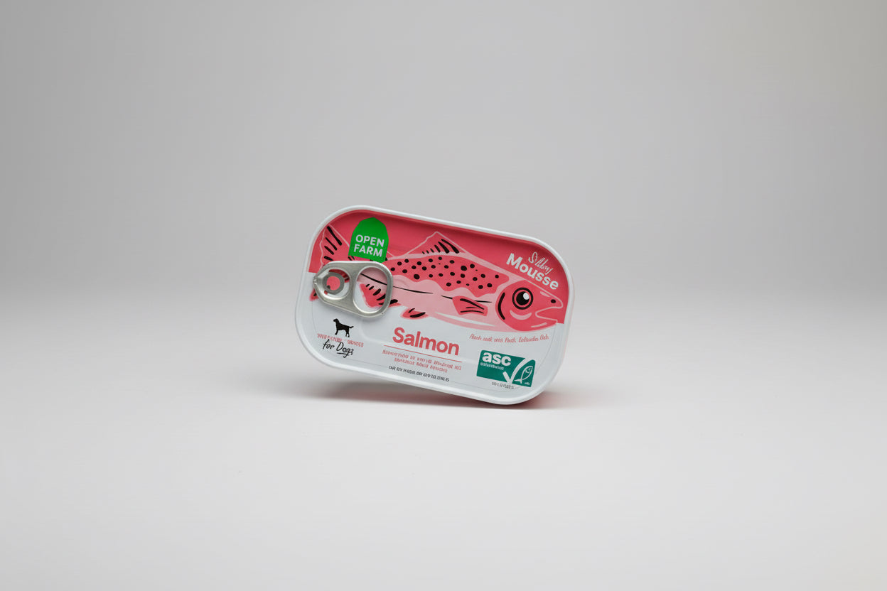 Salmon, wet dog food