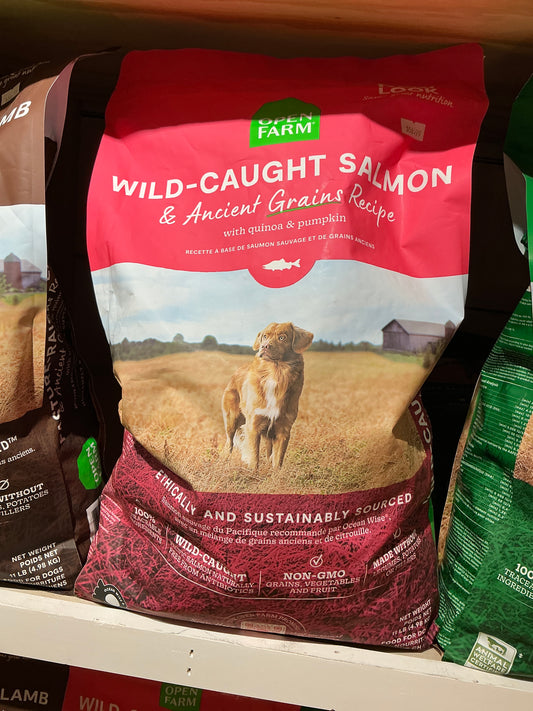 Wild caught salmon dry dog food
