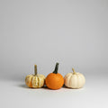 Mini Pumpkins