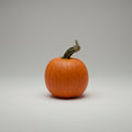 Jumbo Pumpkins
