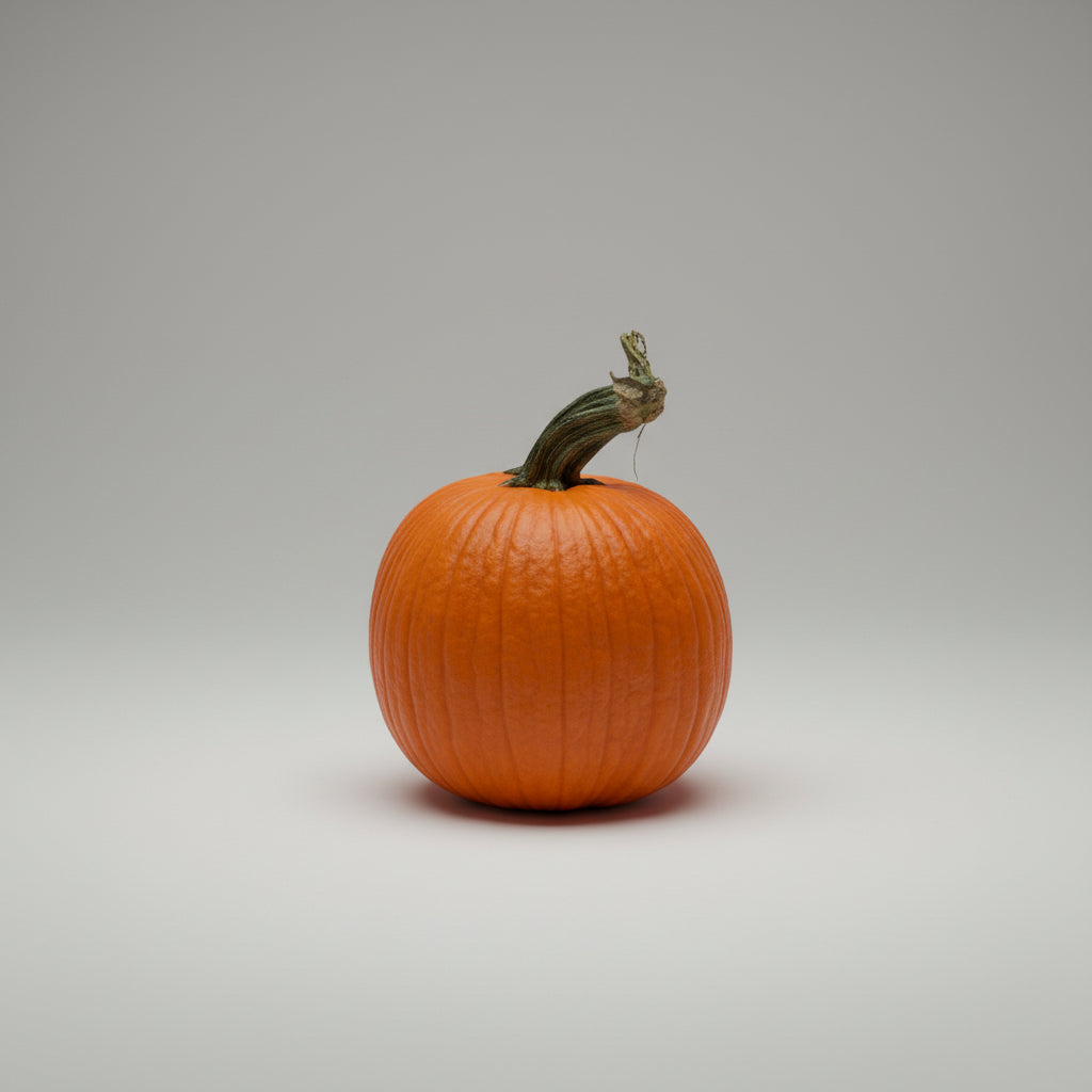 Jumbo Pumpkins